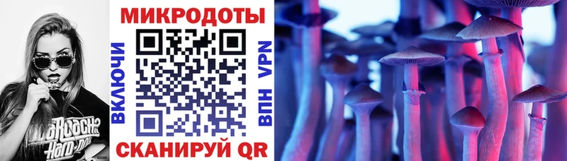 дарнет шоп  Мирный  Псилоцибиновые грибы Cubensis 