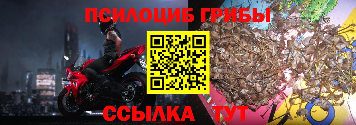 Галлюциногенные грибы ЛСД Мирный