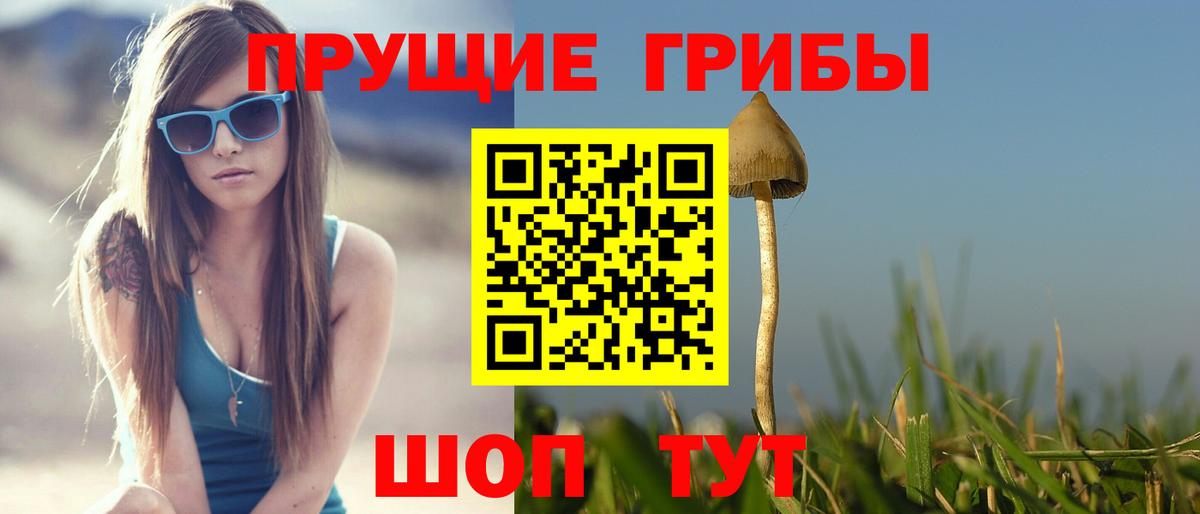 даркнет сайт  Псилоцибиновые грибы GOLDEN TEACHER  Вход с VPN  Галлюциногенные грибы MAGIC MUSHROOMS  Мирный 